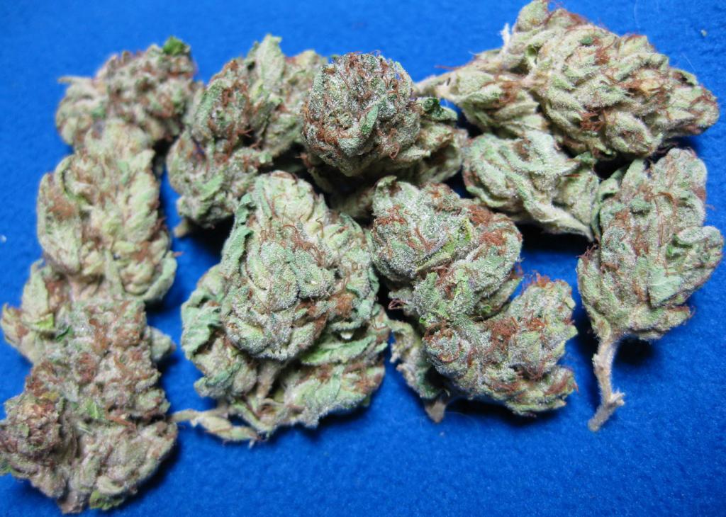 Tahoe Og